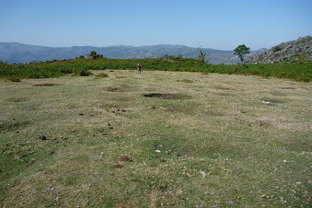 151- Quem causaria isto.....JPG